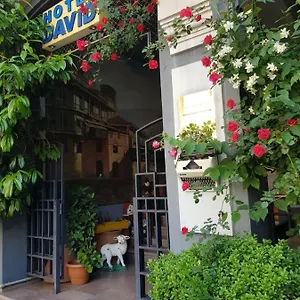 Hotel David - Ethno Style